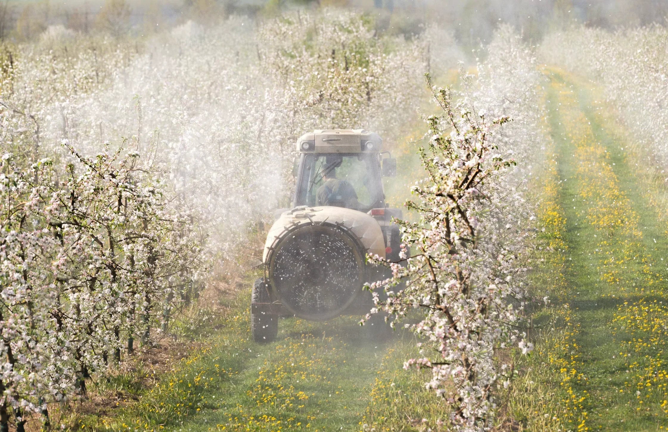Vom Baumwollfeld bis zum Kuschelhoodie – So entsteht dein Lieblings-Piece