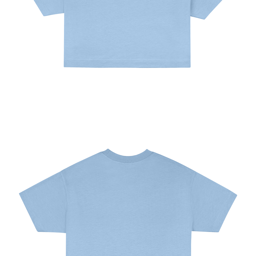 Basic (Build your own) Crop T-Shirt – Dusty Blue
